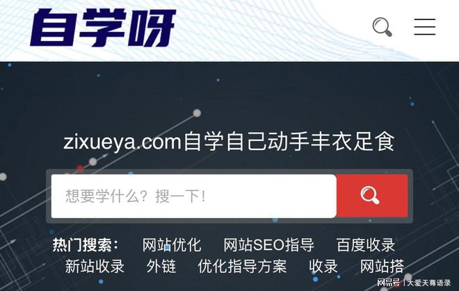 BD半島網(wǎng)址企業(yè)建站讓流量真正落地！自學呀建站專注SEO排名網(wǎng)站建立